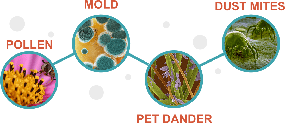 pollen-mold-petdander-dustmites